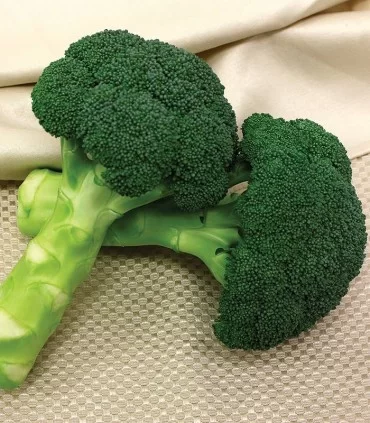 Seminte de broccoli Green Magic F1, 1000 seminte