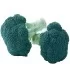 Seminte de broccoli Green Magic F1, 1000 seminte