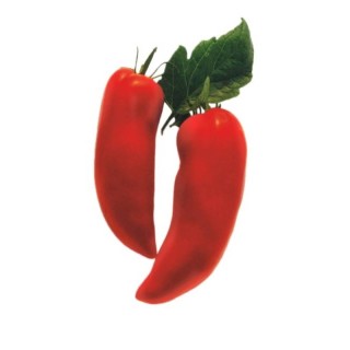 Seminte de tomate Cornabel F1, 100 seminte