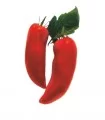 Seminte de tomate Cornabel F1, 100 seminte