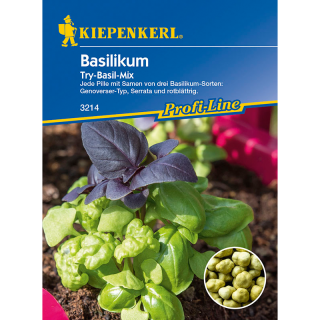 Mix seminte drajate de busuioc - Try Basil Mix
