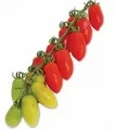 PO 9135 F1 (Marzanino F1), diverse ambalari