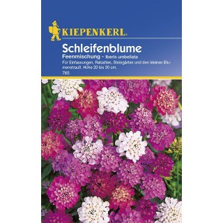 Lilicele Mix (75 seminte)