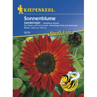Floarea Soarelui Velvet Queen 30 seminte