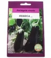 Seminte de vinete Rebeca F1, 2 grame