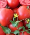 Seminte de tomate Armira F1, 50 seminte