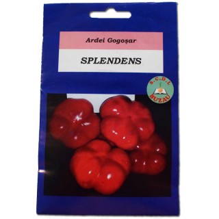 Seminte de gogosar Splendens, 5 grame