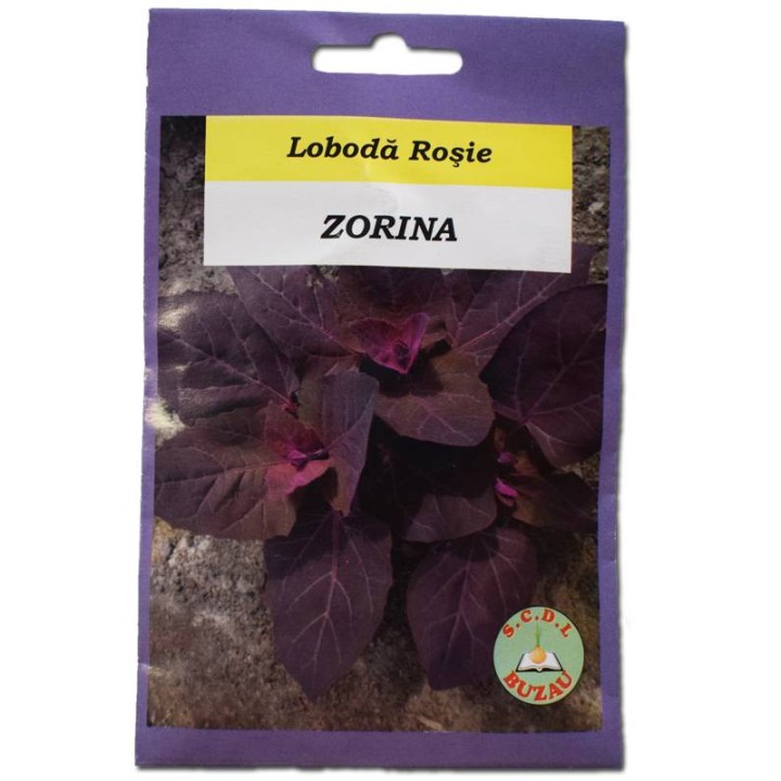 Seminte de loboda rosie Zorina, 5 grame