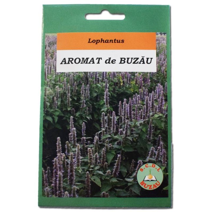 Seminte de Lophantus Aromat de Buzau, 2 grame