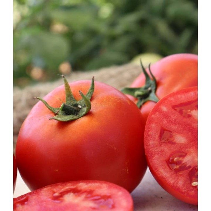 Seminte de tomate Godoria F1, 1000 seminte