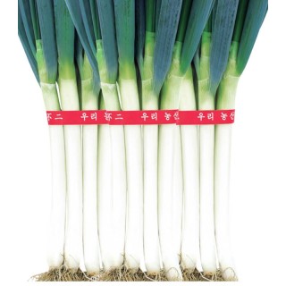 Seminte de ceapa Blue Win F1, 10.000 seminte