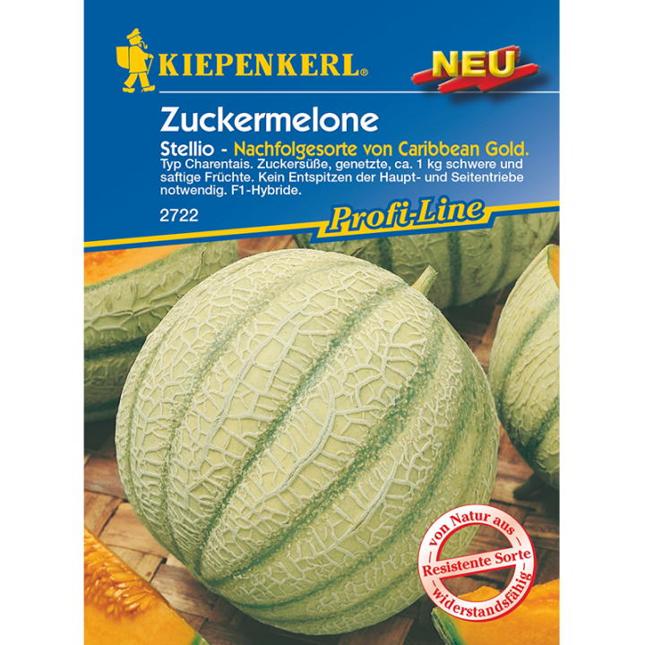 Seminte pepene galben Caribbean Gold