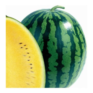 Seminte de pepene Orange King, 500 seminte