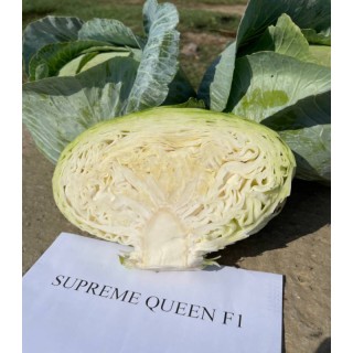 Seminte de varza Supreme Queen F1, 1000 seminte
