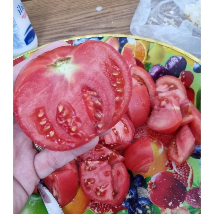 Seminte de tomate Pink Lord F1, 500 seminte