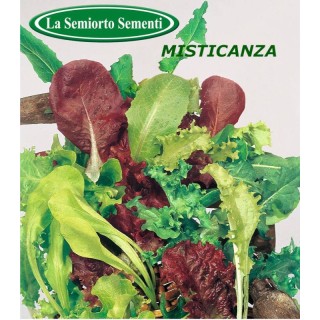 Seminte de salata Misticanza, 50 grame