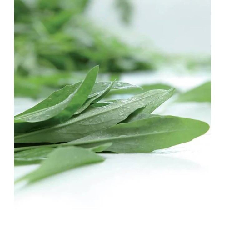 Seminte de rucola Olivetta, 50 grame
