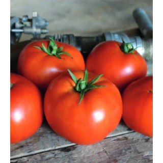 Seminte de tomate Red Bounty F1, 250 seminte