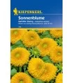 Floarea Soarelui Batuta (20 sem)