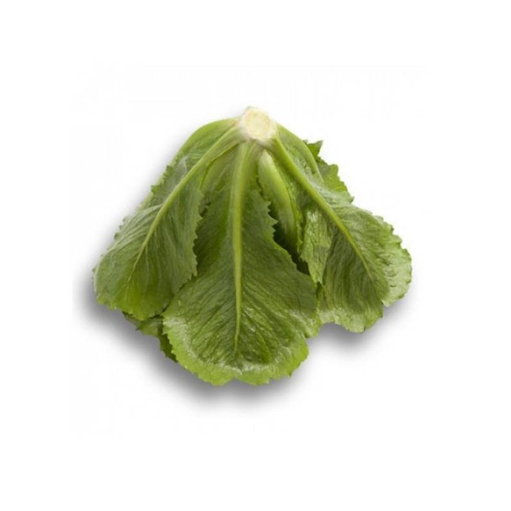 Seminte de salata Malenita RZ, 1000 seminte
