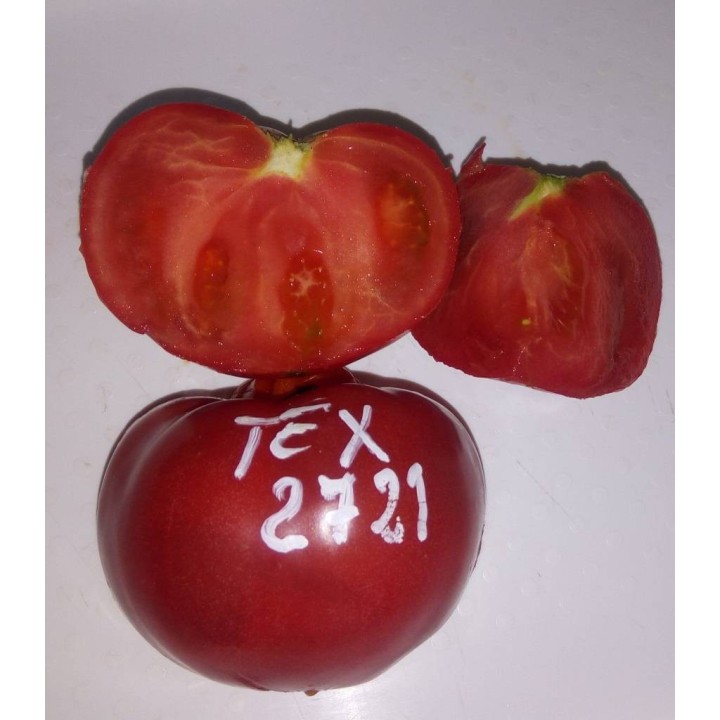 Seminte de tomate Pink Treat (TEX 2721) F1, 500 seminte, Takii Seed