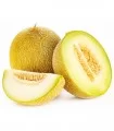 Seminte de pepene galben Rio Gold F1, Agrosel