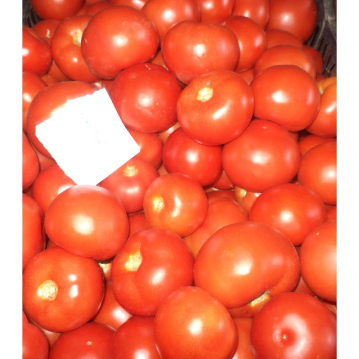 Seminte profesionale de tomate Mahitos F1, RZ