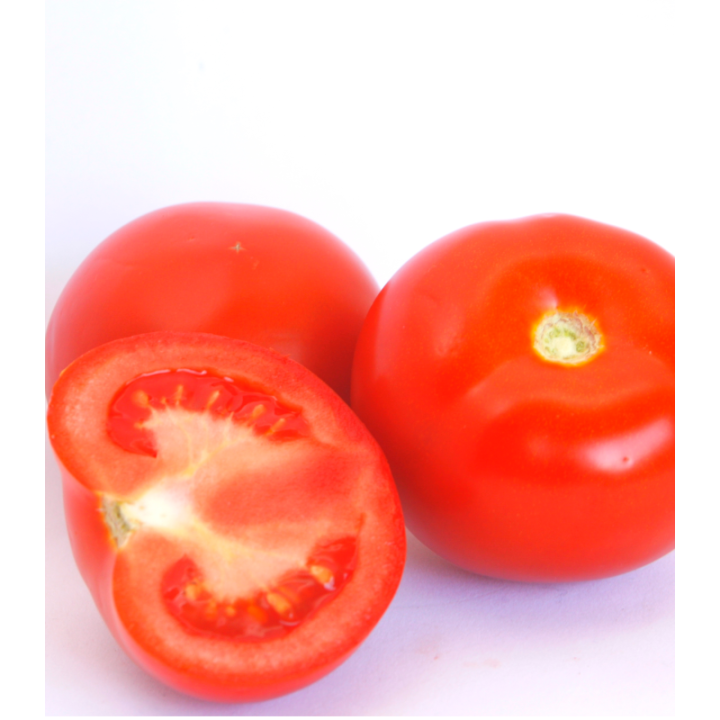 Tomate semi-determinate Vasanta F1