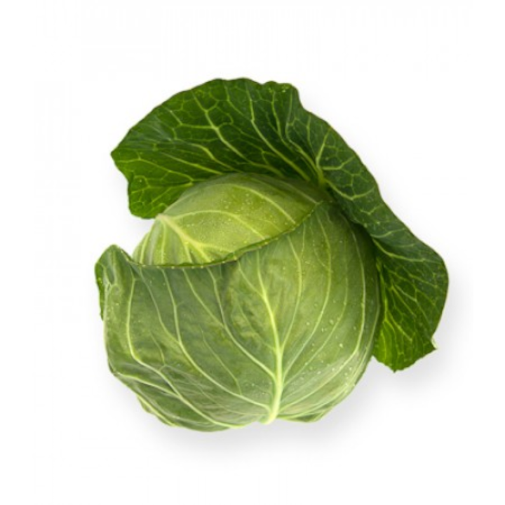Seminte de varza Cilema RZ