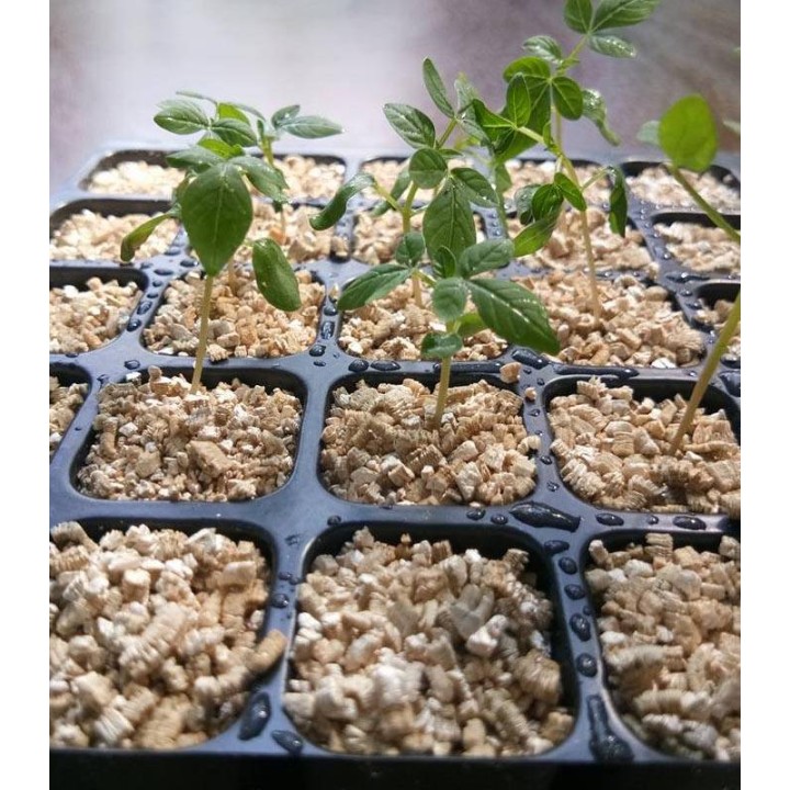 Vermiculit horticol