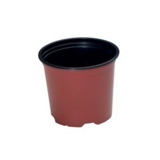 Ghivece productie rotunde, 14 centimetri