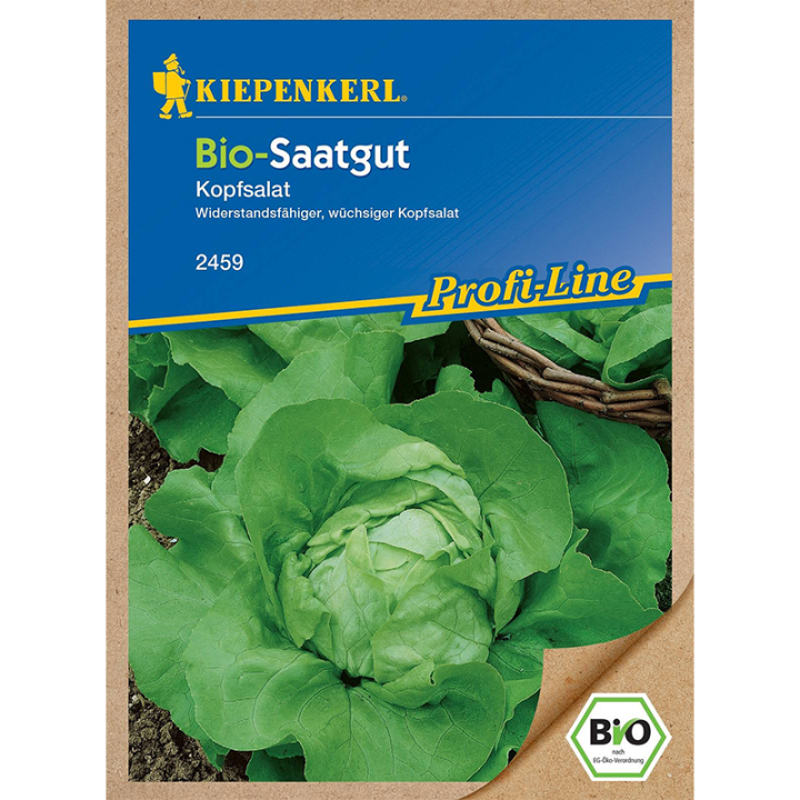 Salata BIO - 90 seminte