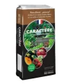 Substrat Dumona pentru plante la ghiveci si straturi, sac 50 litri