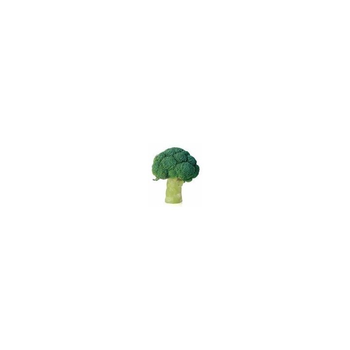 Seminte de broccoli Parthenon F1, 1000 Seminte
