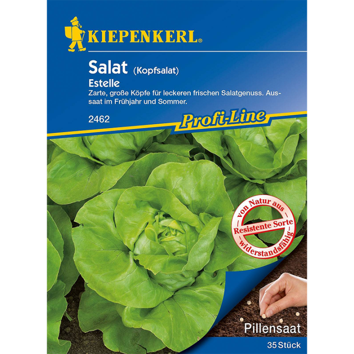 Seminte drajate de salata Estelle, 35 seminte