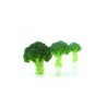 Seminte de broccoli Naxos F1, 1000 Seminte