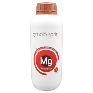 Symbiosprint Magneziu