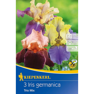 Iris germanica Trio Mix, 3 radacini