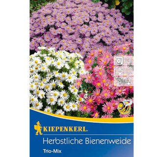 Mix plante perene pentru toamna Bee Willow, 3 radacini