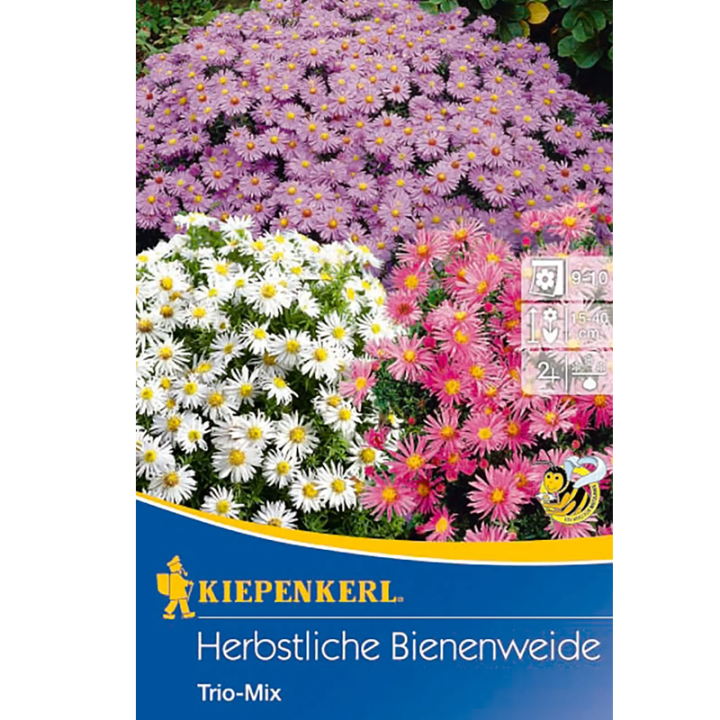 Mix plante perene pentru toamna Bee Willow, 3 radacini