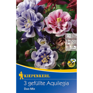 Aquilegia Duo Mix, 3 radacini