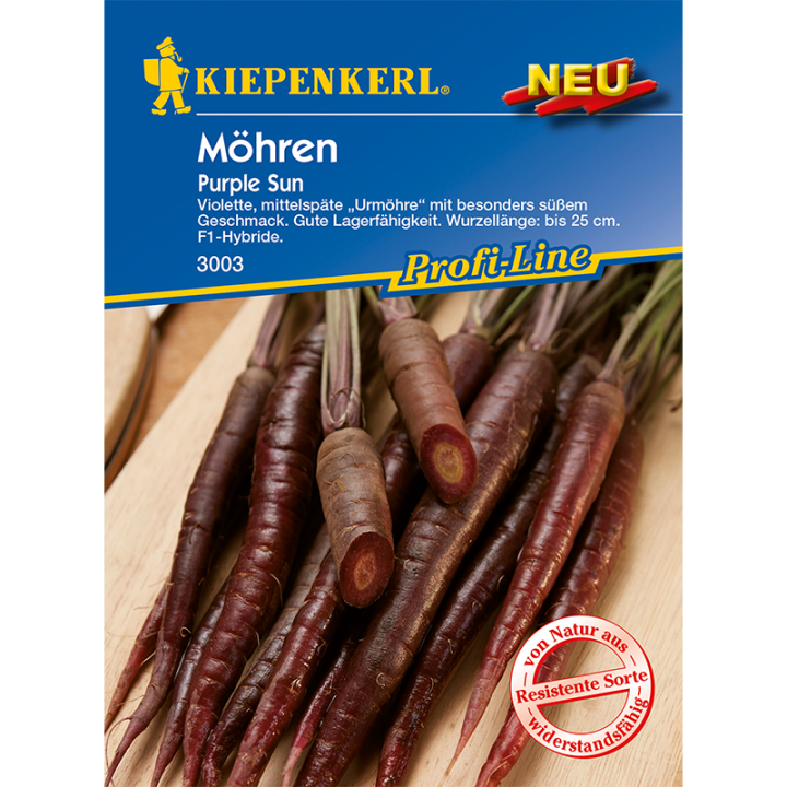 Morcovi mov Purple Sun F1 (1 rand de 6 metri)