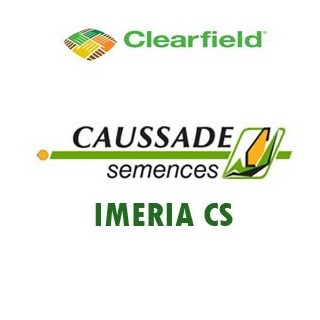 Imeria CS CL - 75.000 seminte
