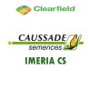 Imeria CS CL - 75.000 seminte