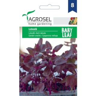 Seminte de Loboda Rosie (Baby Leaf), 2 g
