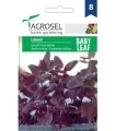 Seminte de Loboda Rosie (Baby Leaf), 2 g