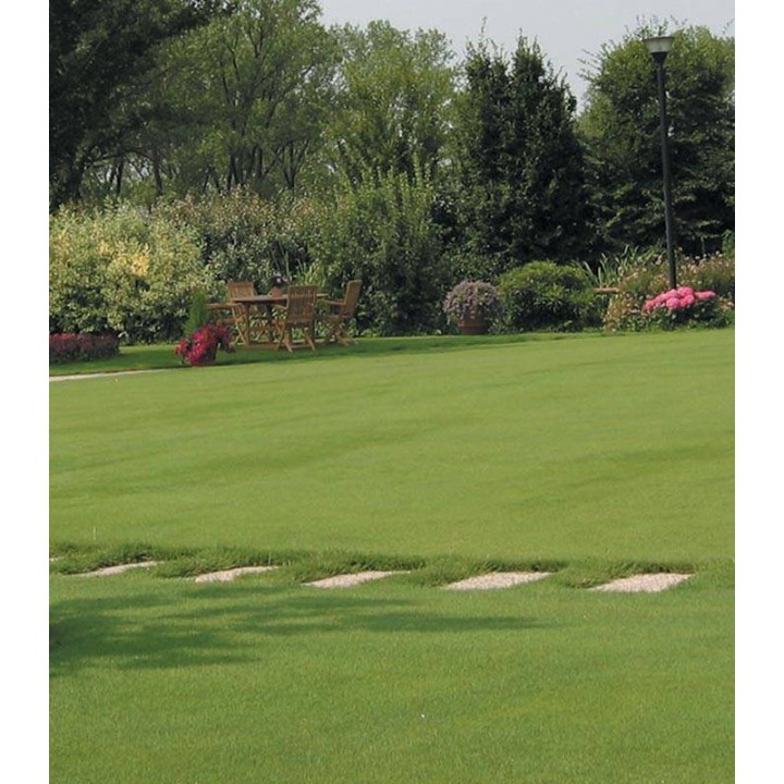 Fertilizant Maintenance NPK 19-5-8, 4 kg