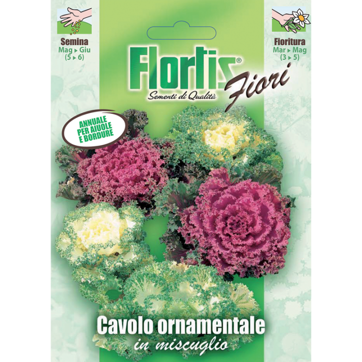 Varza Ornamentala Mix, 0,5 grame