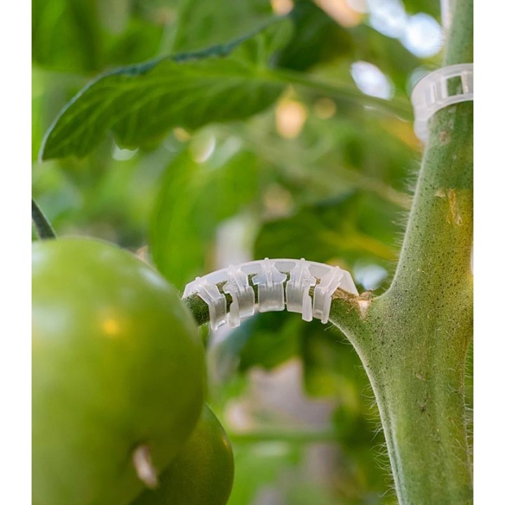 Arc flexibil prindere ciorchine de tomate, Paskal