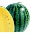 Seminte de pepene Orange King, 500 seminte